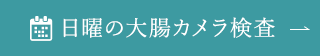 日曜の大腸カメラ検査