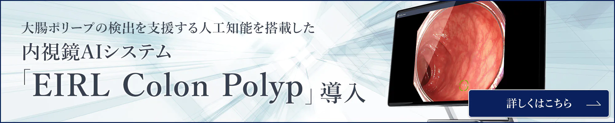 内視鏡AIシステム