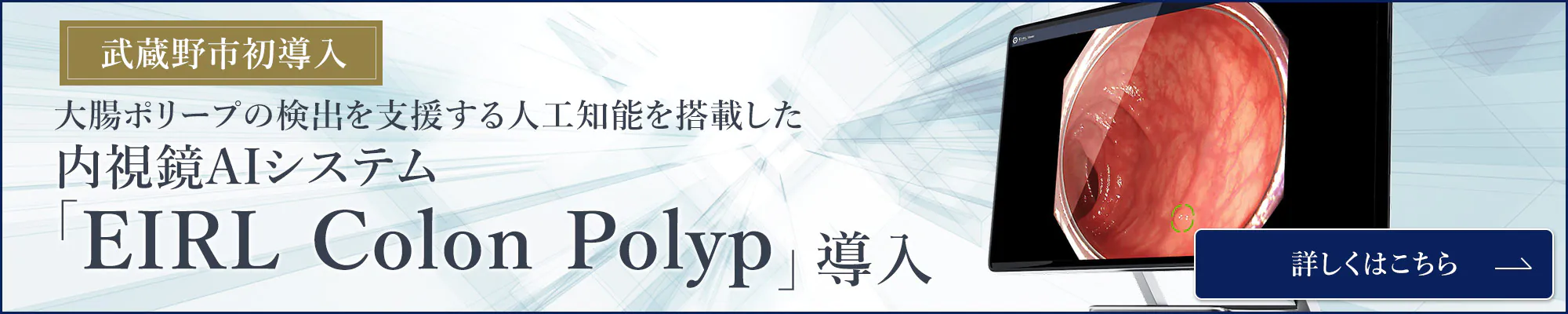 内視鏡AIシステム